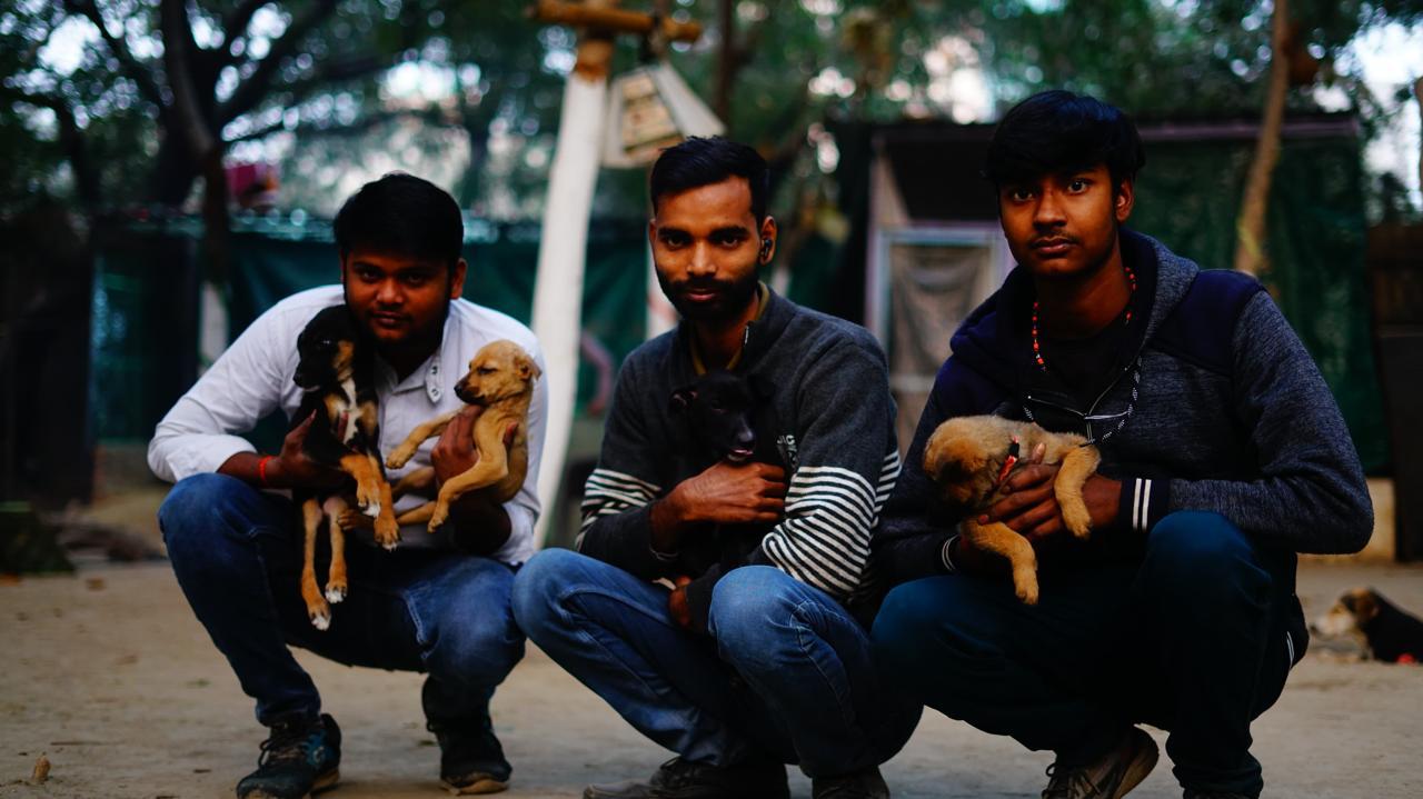 Group of Men Holding Puppies
